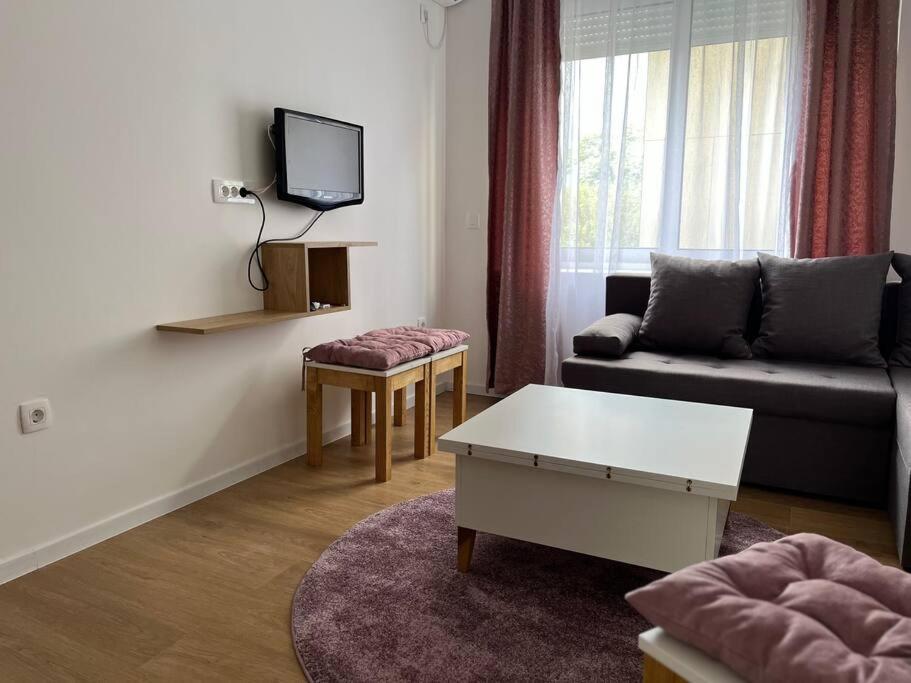 Apartment Centar بودغوريتْسا المظهر الخارجي الصورة
