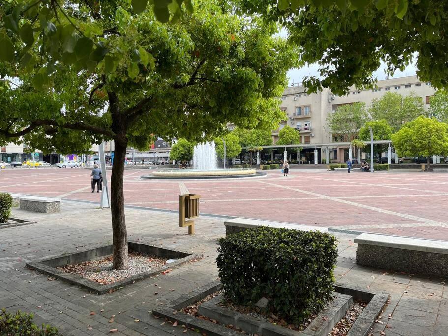 Apartment Centar بودغوريتْسا المظهر الخارجي الصورة