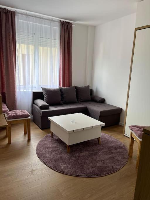 Apartment Centar بودغوريتْسا المظهر الخارجي الصورة