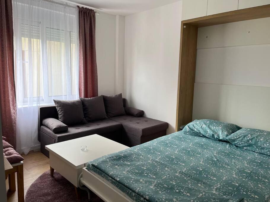 Apartment Centar بودغوريتْسا المظهر الخارجي الصورة